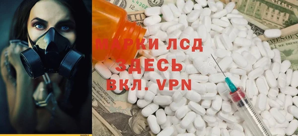 сатива Каменка