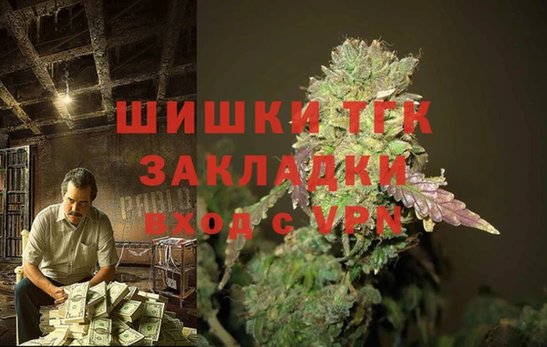 сатива Каменка