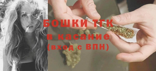 сатива Каменка