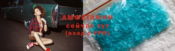 сатива Каменка
