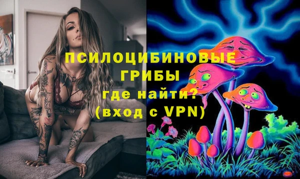 марки lsd Каменногорск