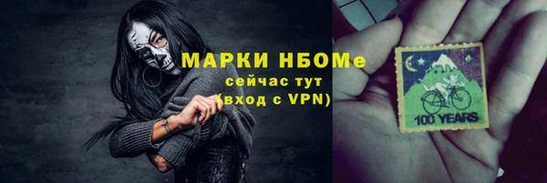 сатива Каменка