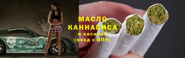 сатива Каменка