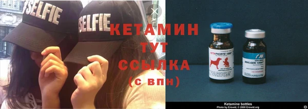 сатива Каменка