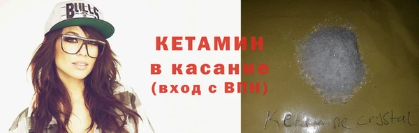 сатива Каменка