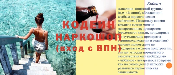 сатива Каменка