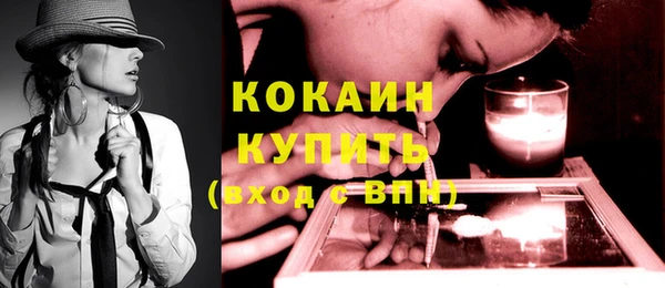 сатива Каменка