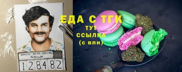 сатива Каменка