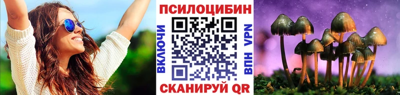 Галлюциногенные грибы Psilocybe  Купить где  Юхнов 